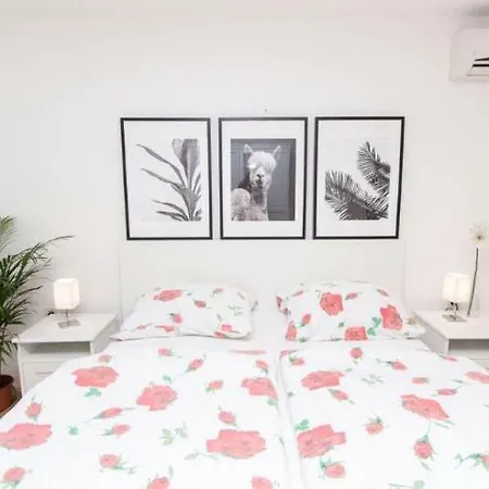 Apartments And Rooms Ille Guest house 4*