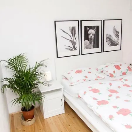 Guest house Apartments And Rooms Ille