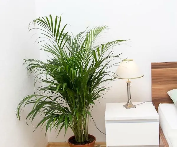 And Ille 게스트하우스